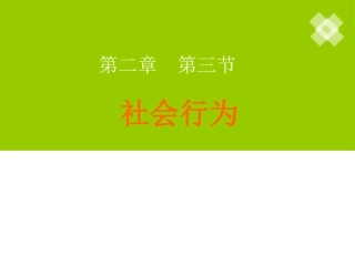 社会行为（雷）