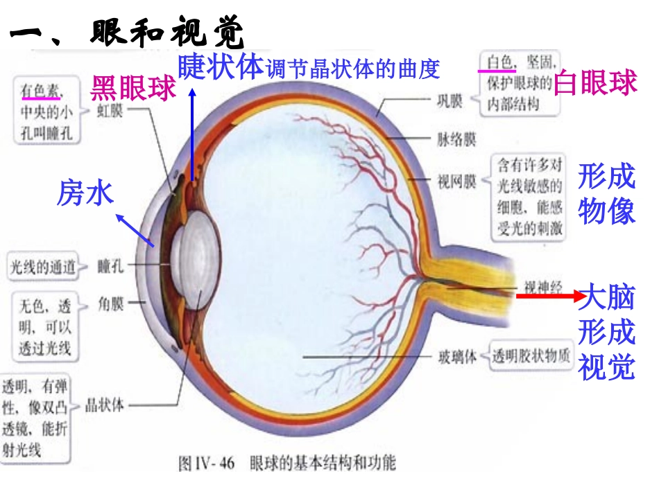 生物七年级下册_第6、7章_复习课件_第1页