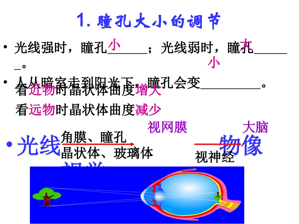 生物七年级下册_第6、7章_复习课件_第2页