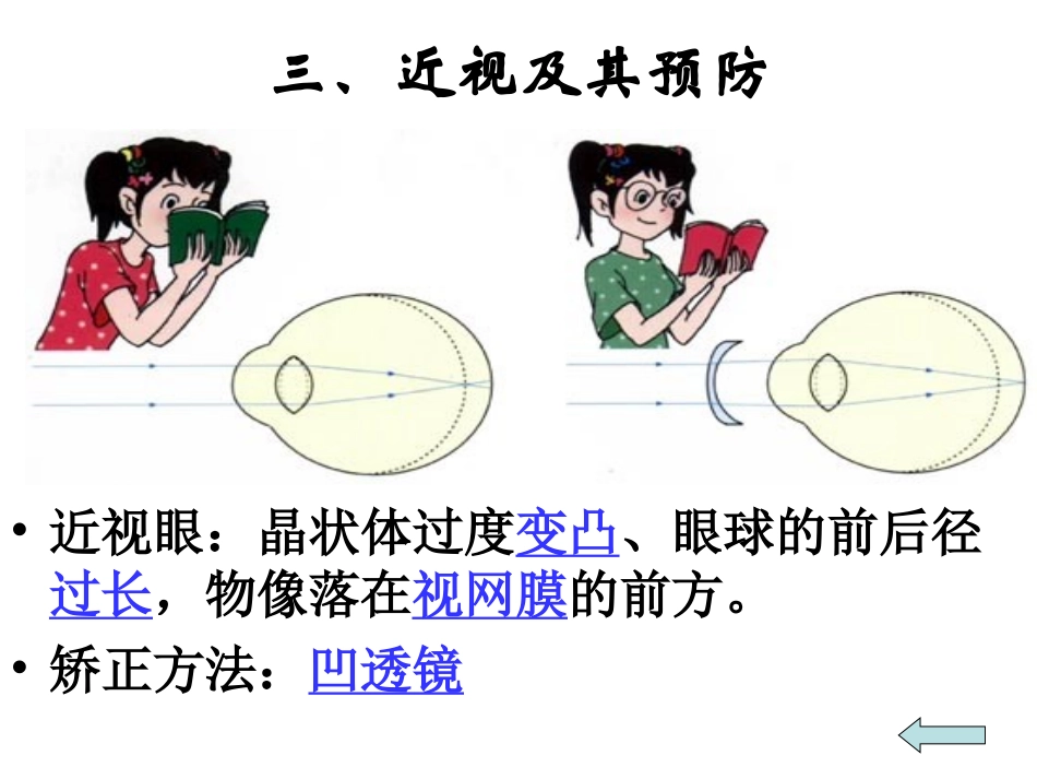 生物七年级下册_第6、7章_复习课件_第3页