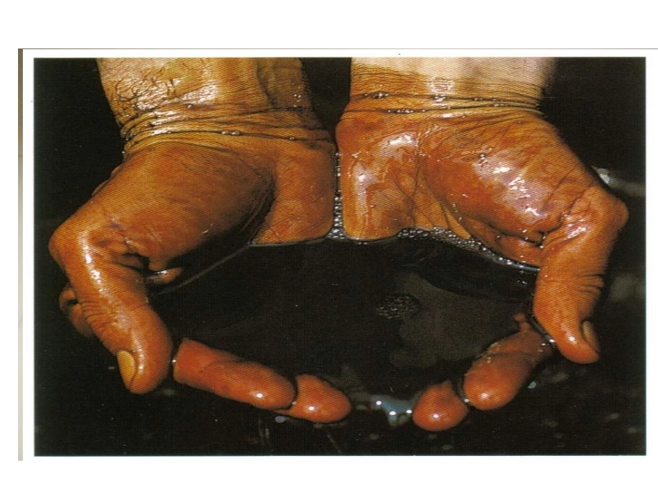 选修五第一章第一节有机化合物的分类—程兴永_第2页