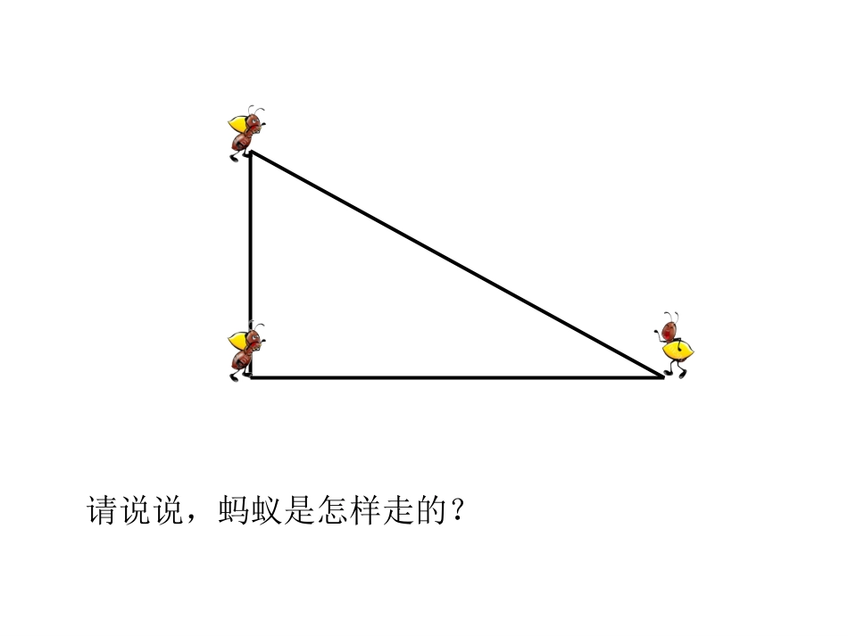 周长的认识 (3)_第2页