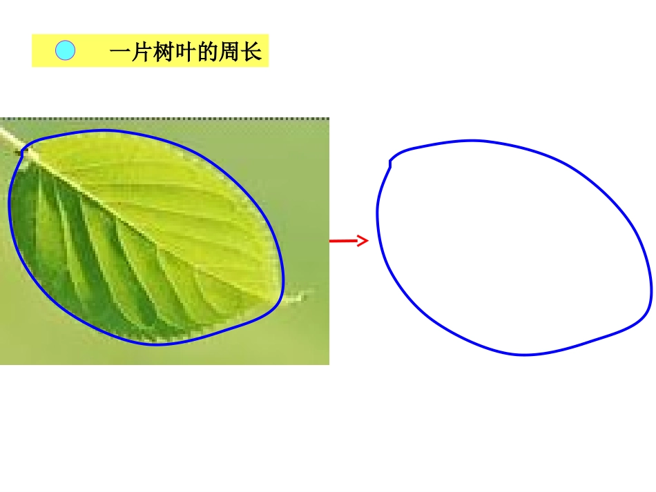 周长的认识 (3)_第3页