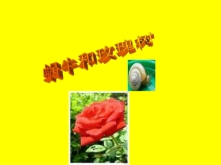 蜗牛和玫瑰树
