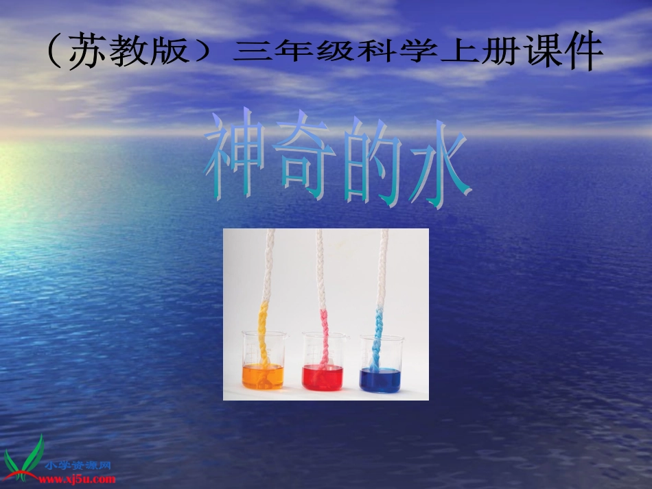 科学三年级上册《神奇的水》课件_第2页