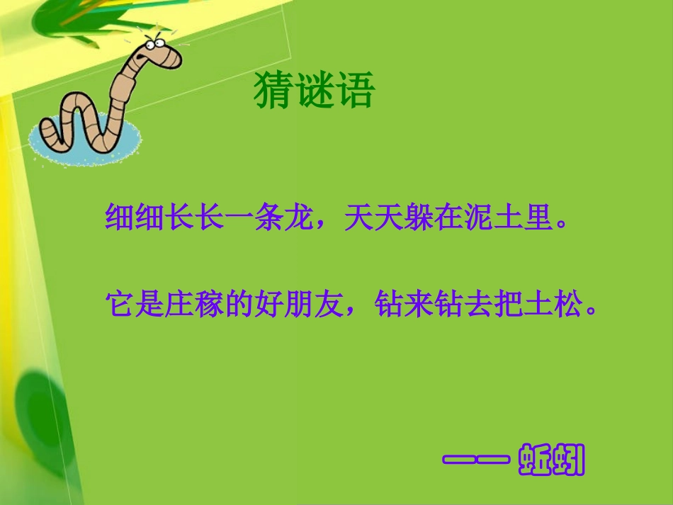 一4蚯蚓的选择_第2页