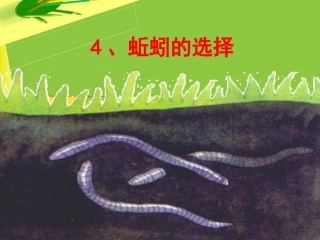 一4蚯蚓的选择
