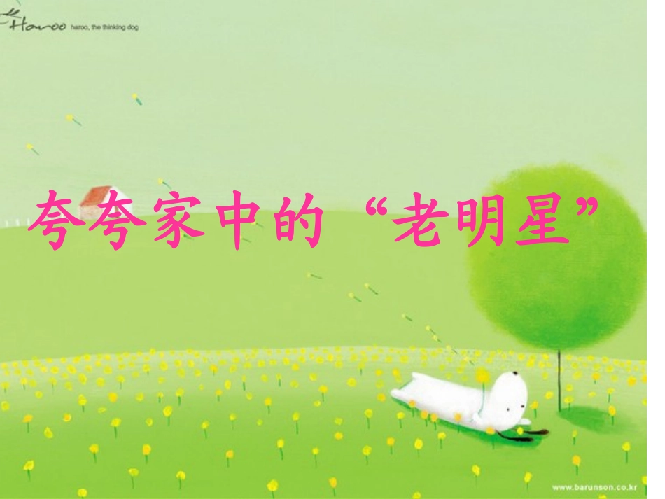 让爷爷奶奶高兴()_第3页