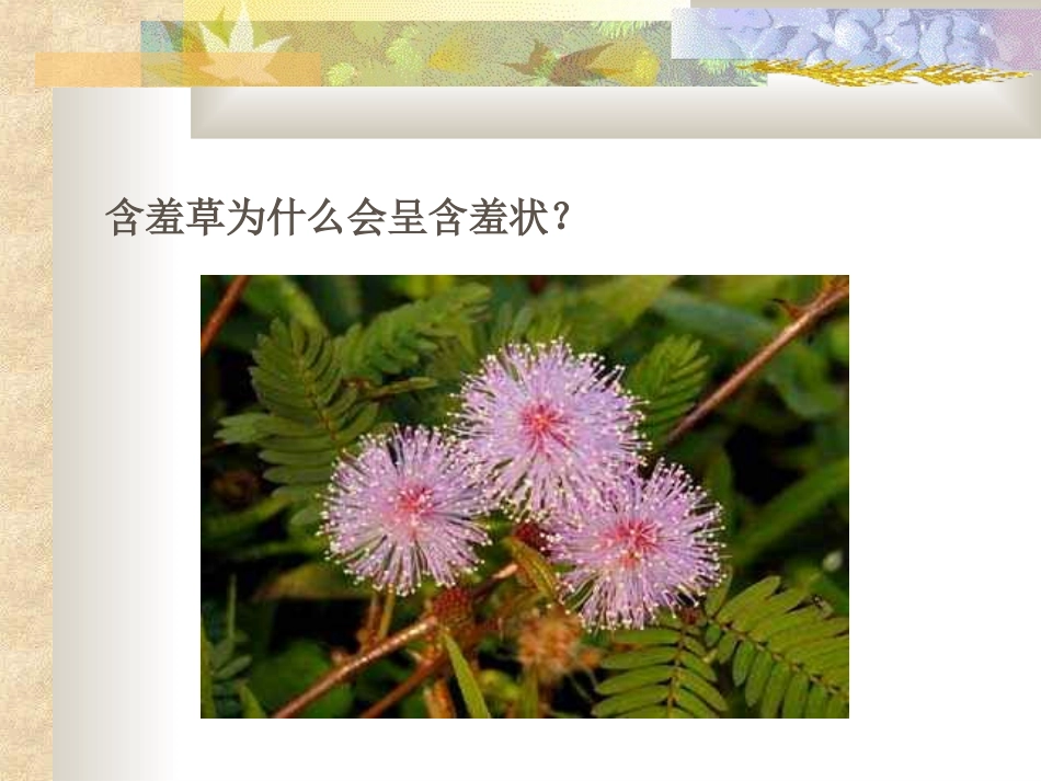 科学在我身边_第2页