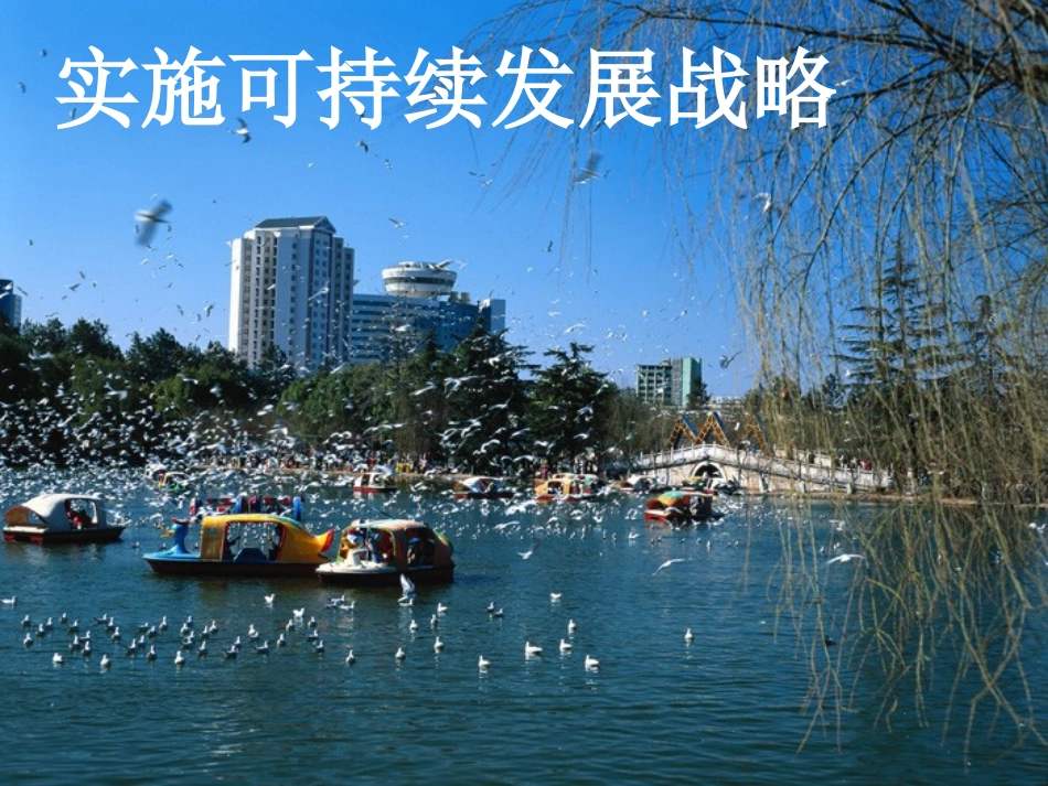 可持续发展战略_第1页