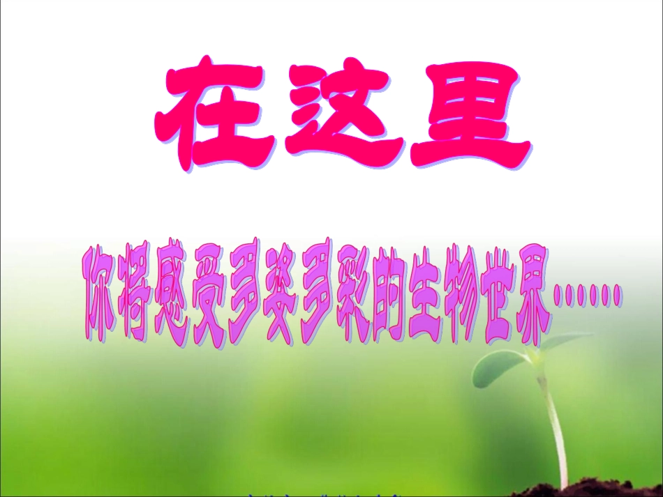 七年级预备课_第3页