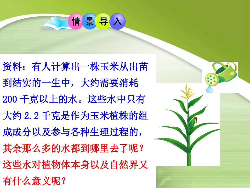 七年级上册生物第三单元第三章绿色植物与生物圈的水循环_第3页