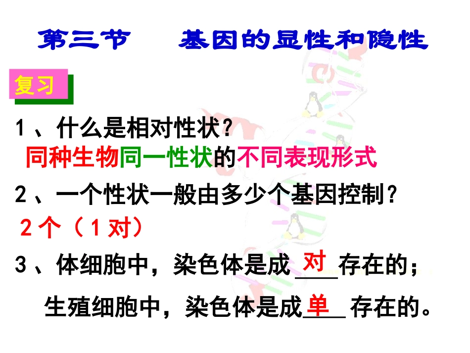 人教版生物八年级下册课件-723基因的显性和隐性（共35张PPT）_第2页