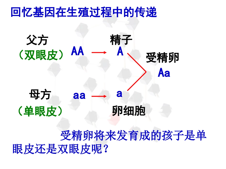 人教版生物八年级下册课件-723基因的显性和隐性（共35张PPT）_第3页