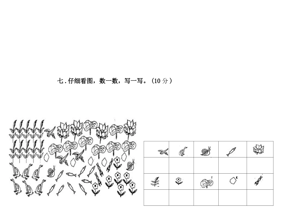 一年级上册数学适合白板使用_第1页