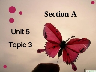 一节全体学生都参与的Unit5T3SectionA