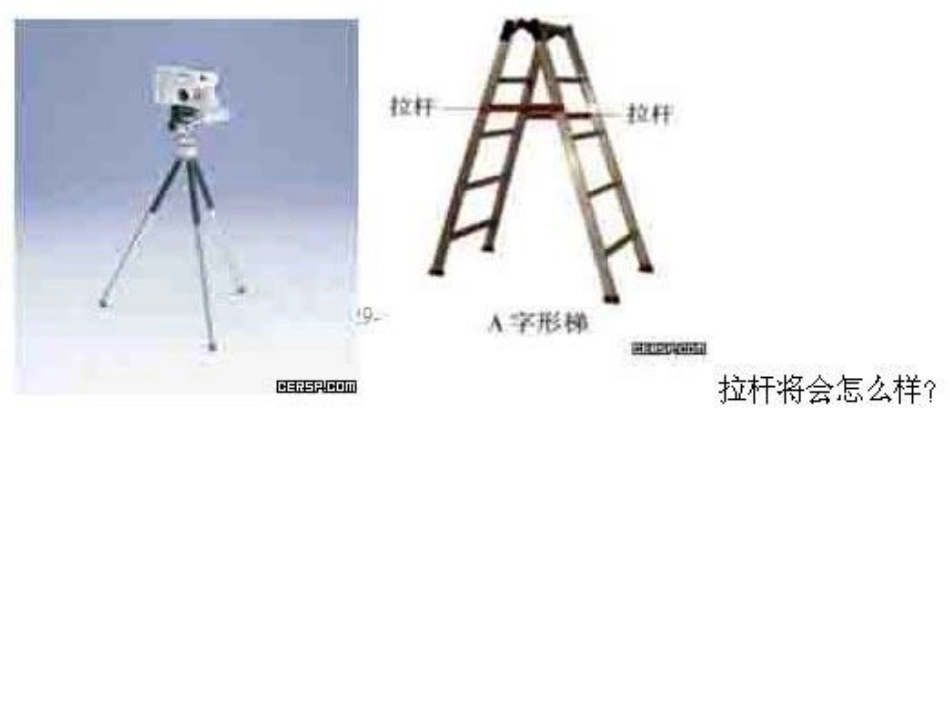 三角形和四边形的性质_第2页