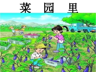 一年级语文上册第三单元3、菜园里课件