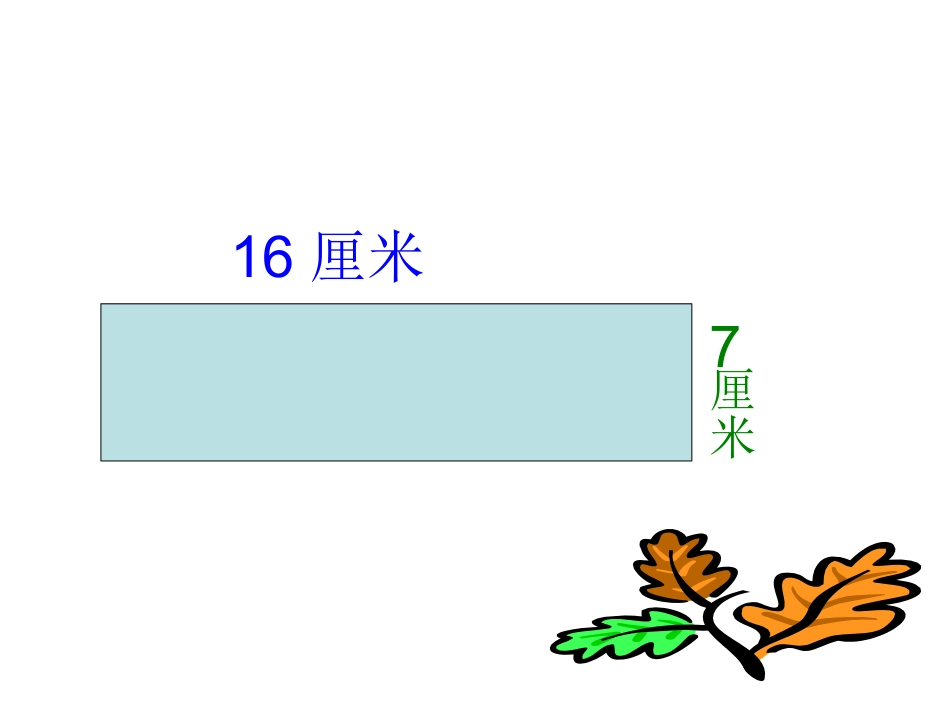 平面图形复习_第2页