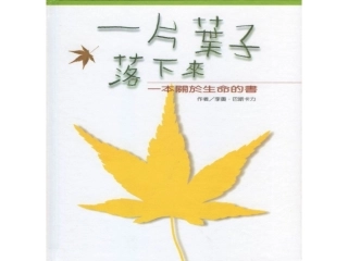 一片叶子落下来-生命