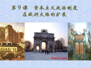 资本主义政治制度