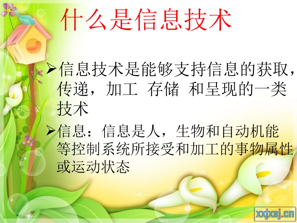 走进信息时代_第2页