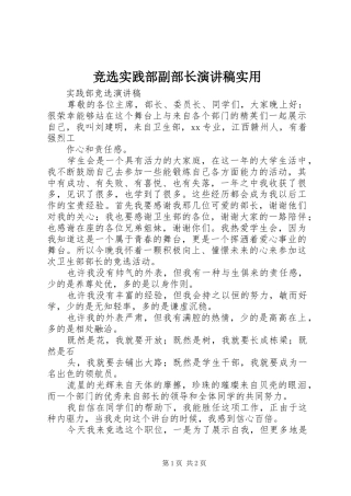 竞选实践部副部长演讲稿范文实用 (2)