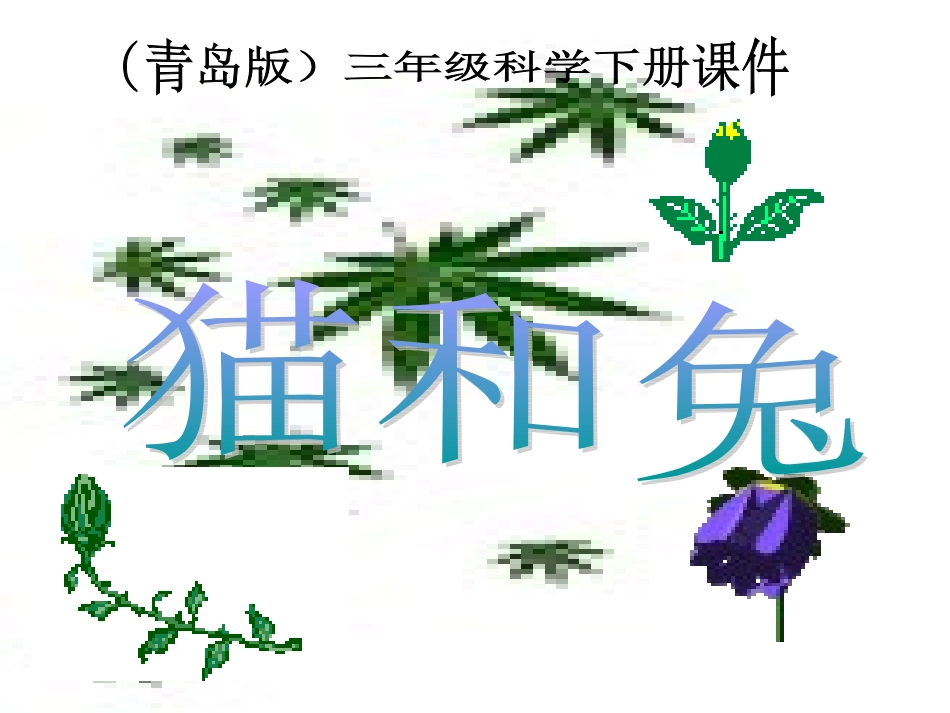 三年级科学下册_猫和兔1课件_青岛版_第1页