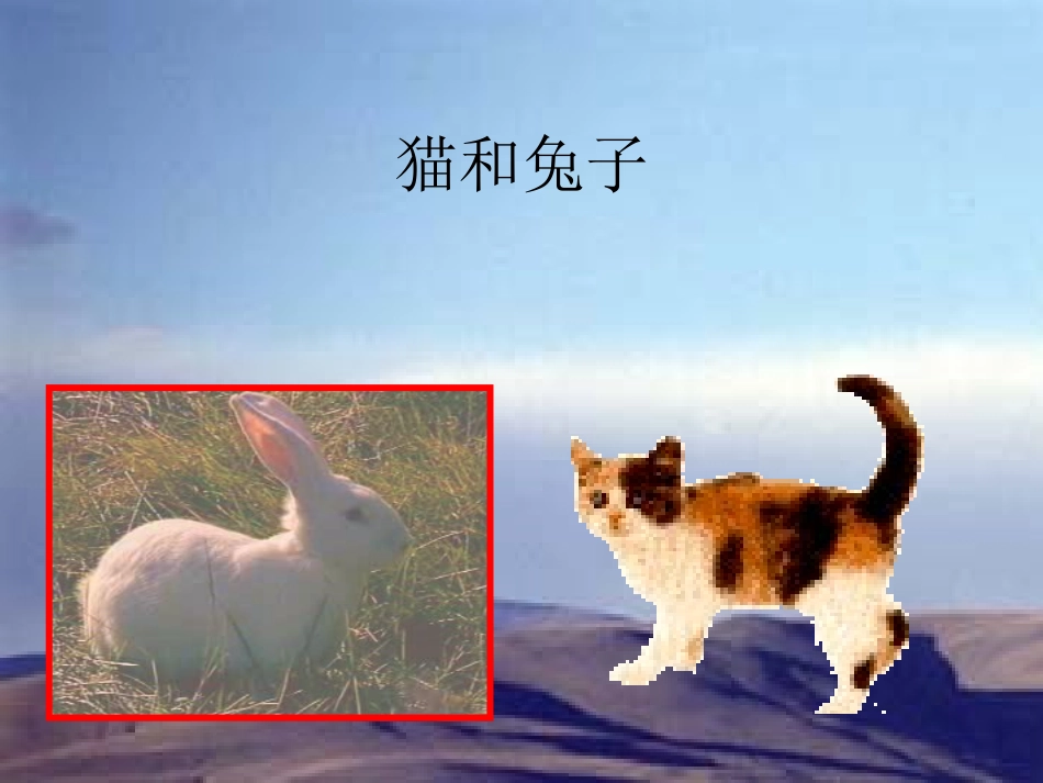 三年级科学下册_猫和兔1课件_青岛版_第2页