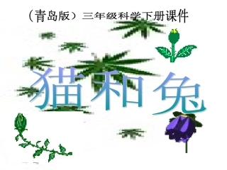 三年级科学下册_猫和兔1课件_青岛版