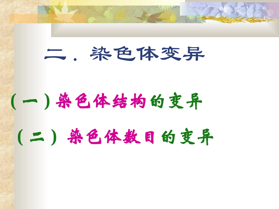 染色体的变异_第1页
