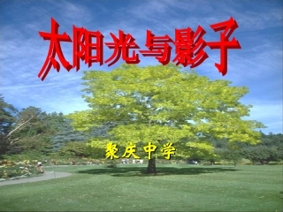 太阳光与影子3