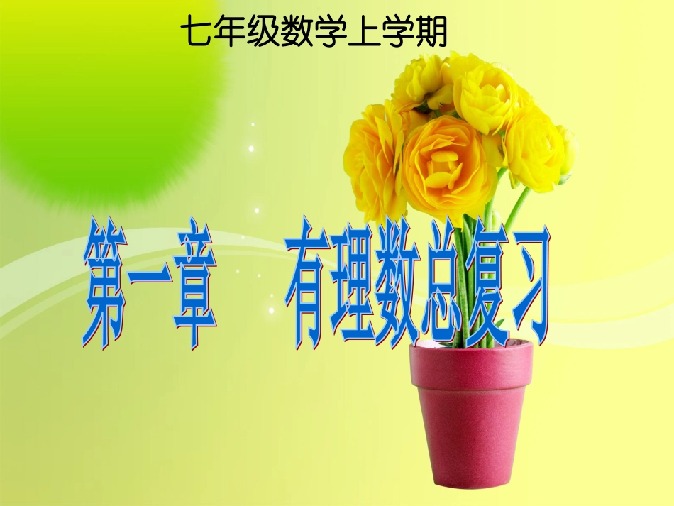 有理数总复习_第1页
