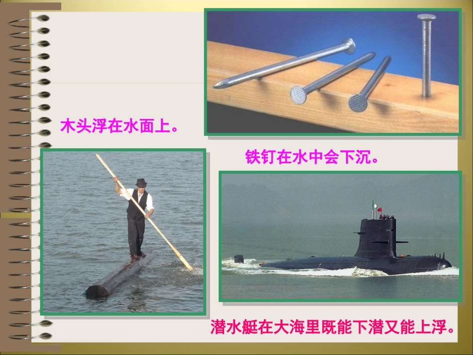 物体的浮与沉_第2页