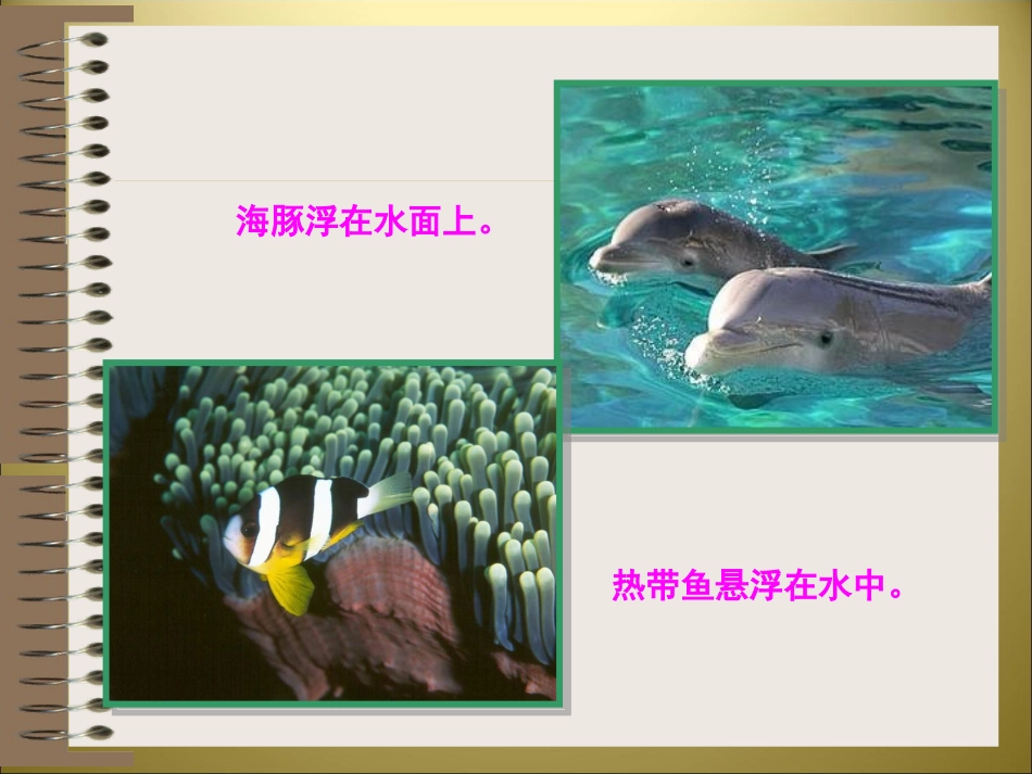 物体的浮与沉_第3页