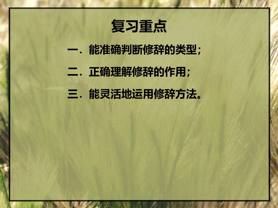 专题六：修辞_第3页