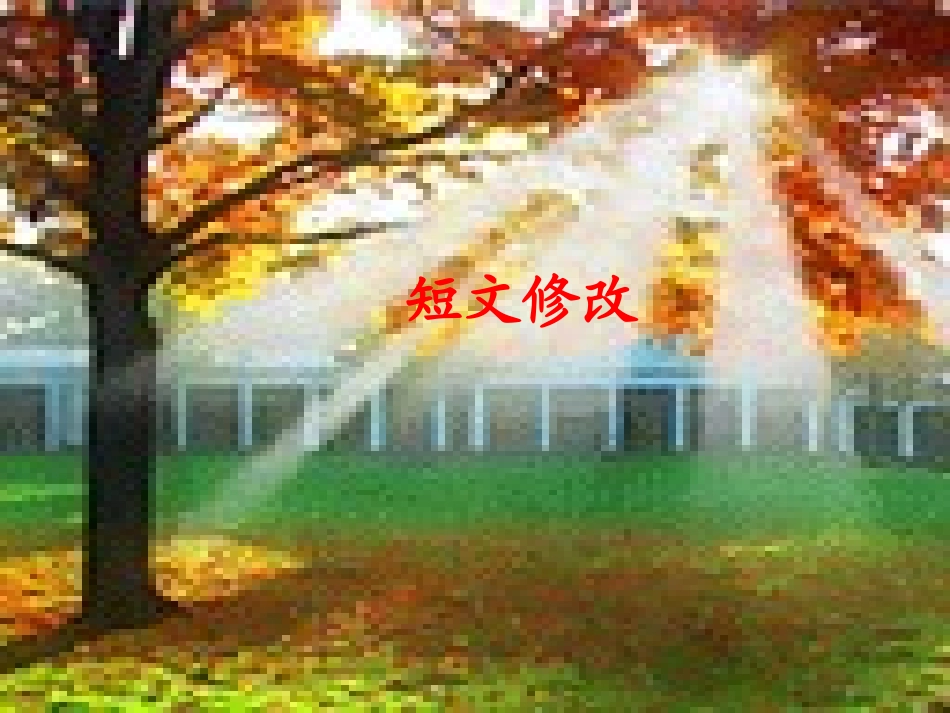 中考语文复习指导课件 文章修改专题—短文的修改_第1页