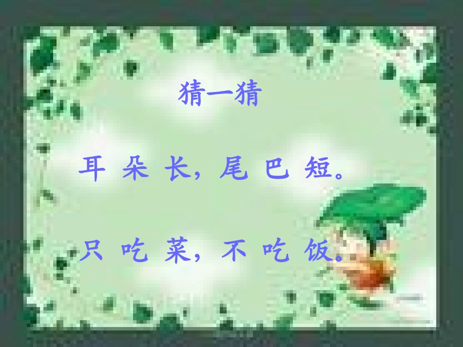 课件《大鹿》_第3页