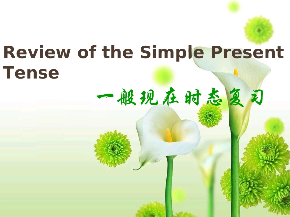 一般现在时课件_第1页