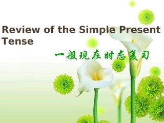 一般现在时课件