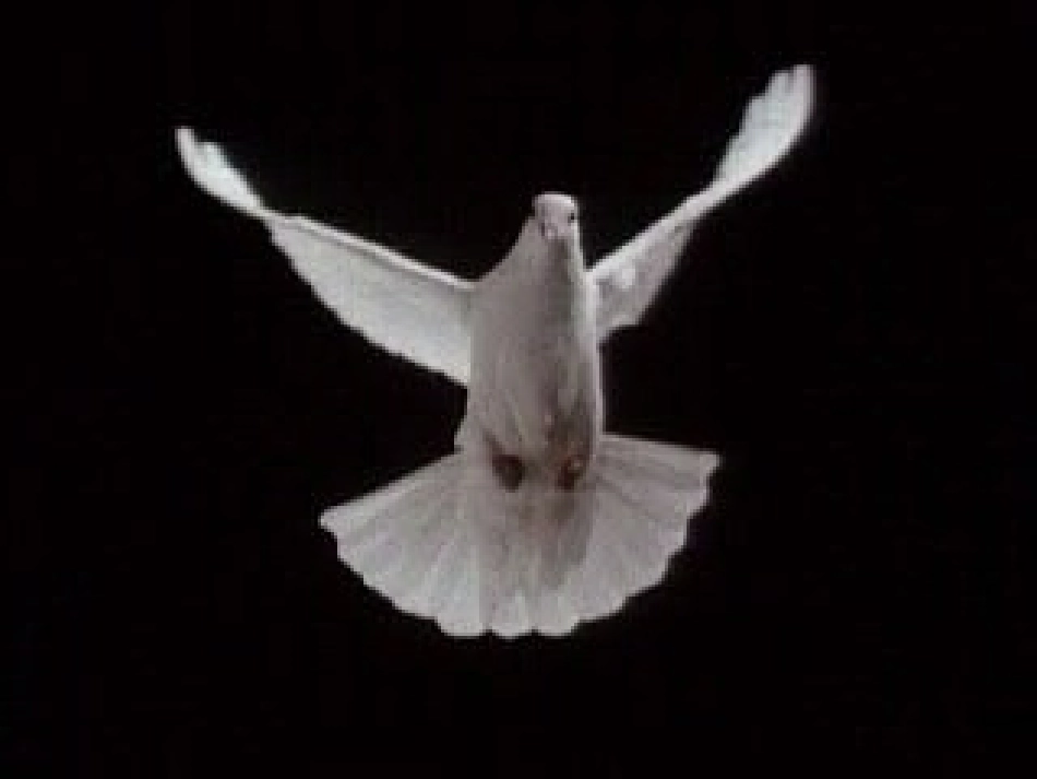 运动和力课件_第3页