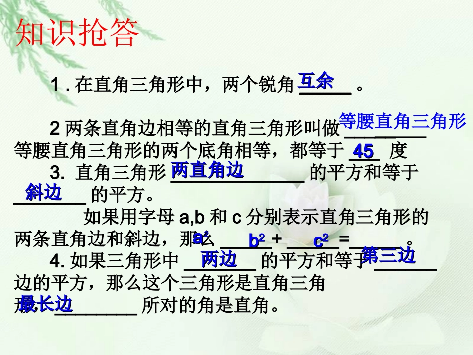 直角三角形复习_第2页