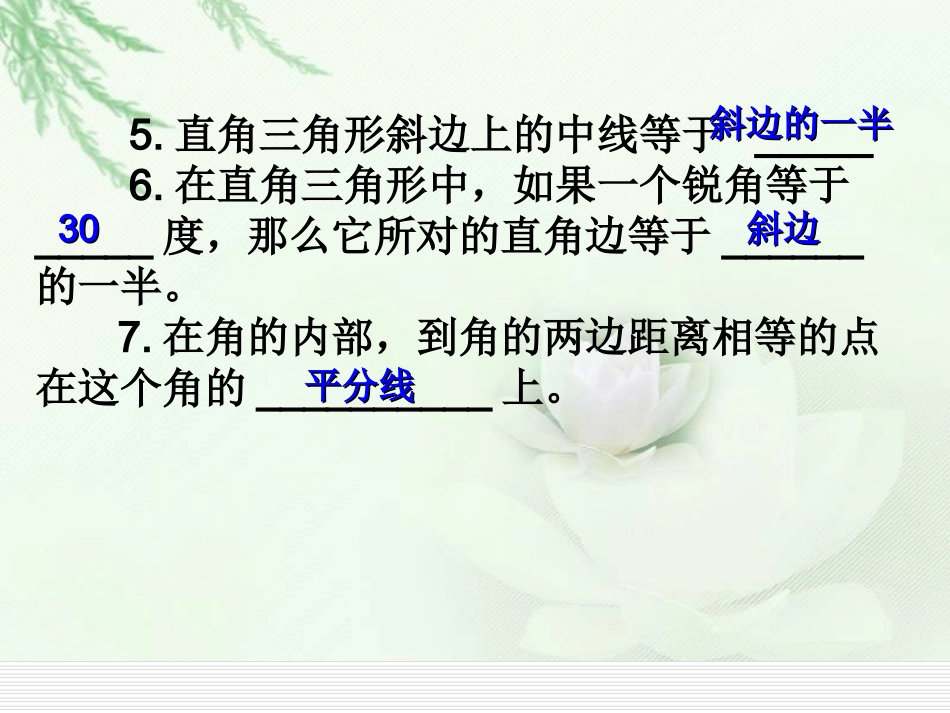 直角三角形复习_第3页