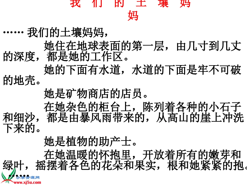 苏教版小学科学三年级下册《了解土壤》PPT课件_第2页