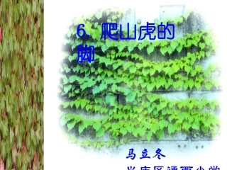 那片绿绿的爬山虎 (3)