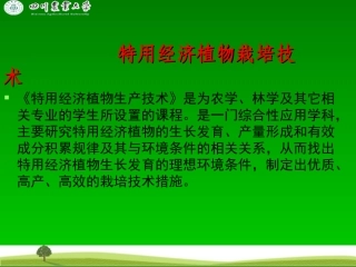 自考辅导11年