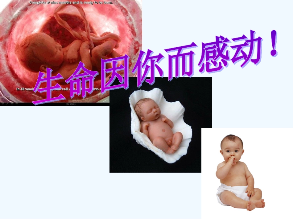 七年级语文上册《贝壳》教学课件 人教新课标版_第2页