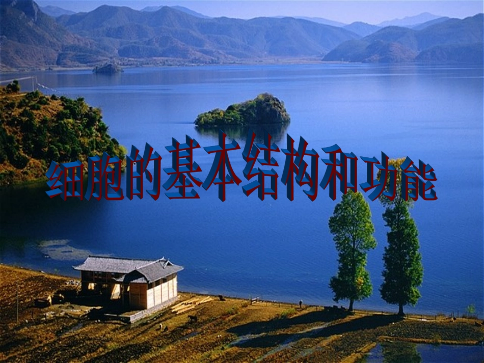 显微镜的使用_第1页