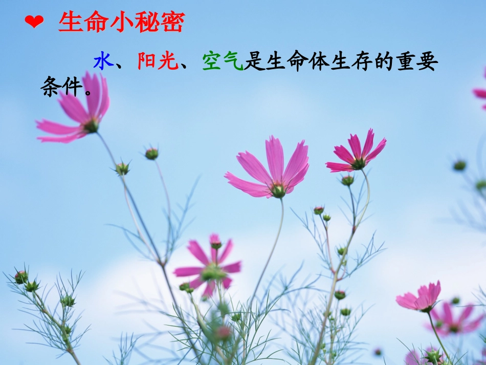 蓝色地球课件_第3页