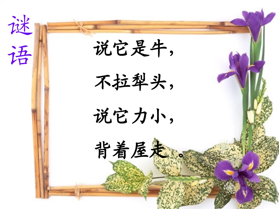 三年级语文上册-蜗牛-1课件-语文S版_第1页